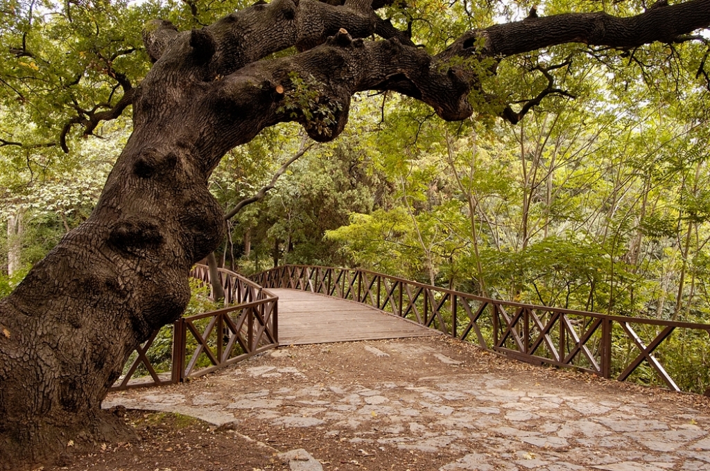 Yıldız Parkı - Beşiktaş