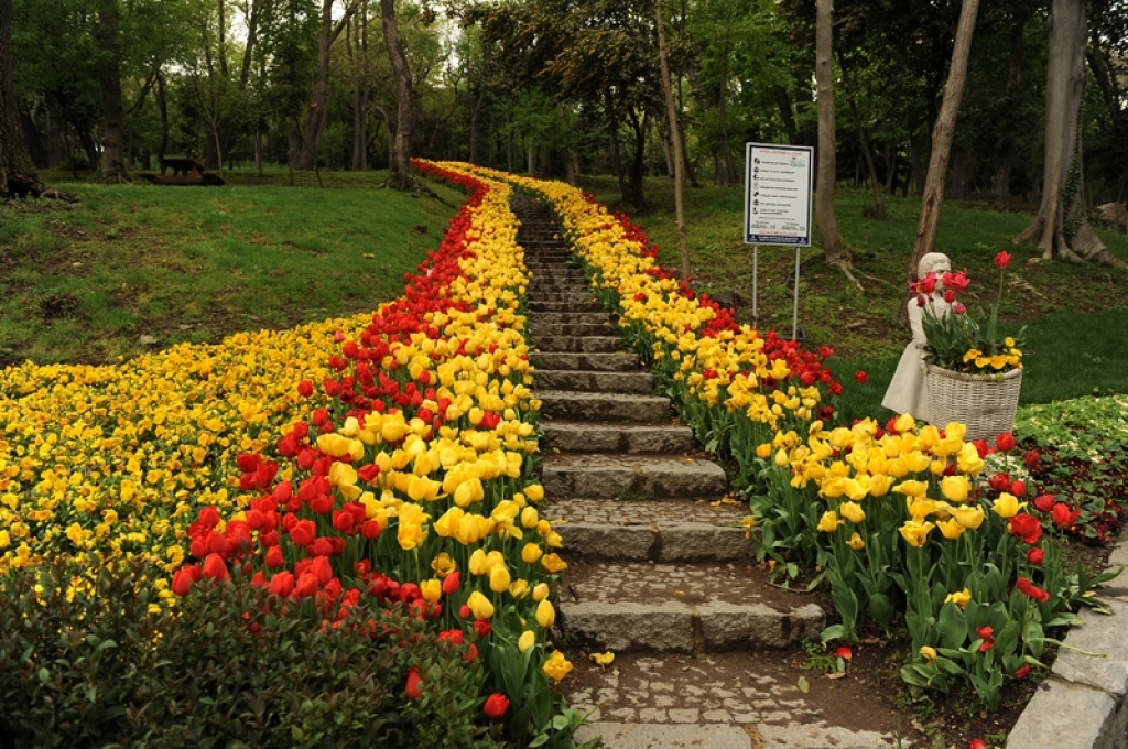 Yıldız Parkı - Beşiktaş