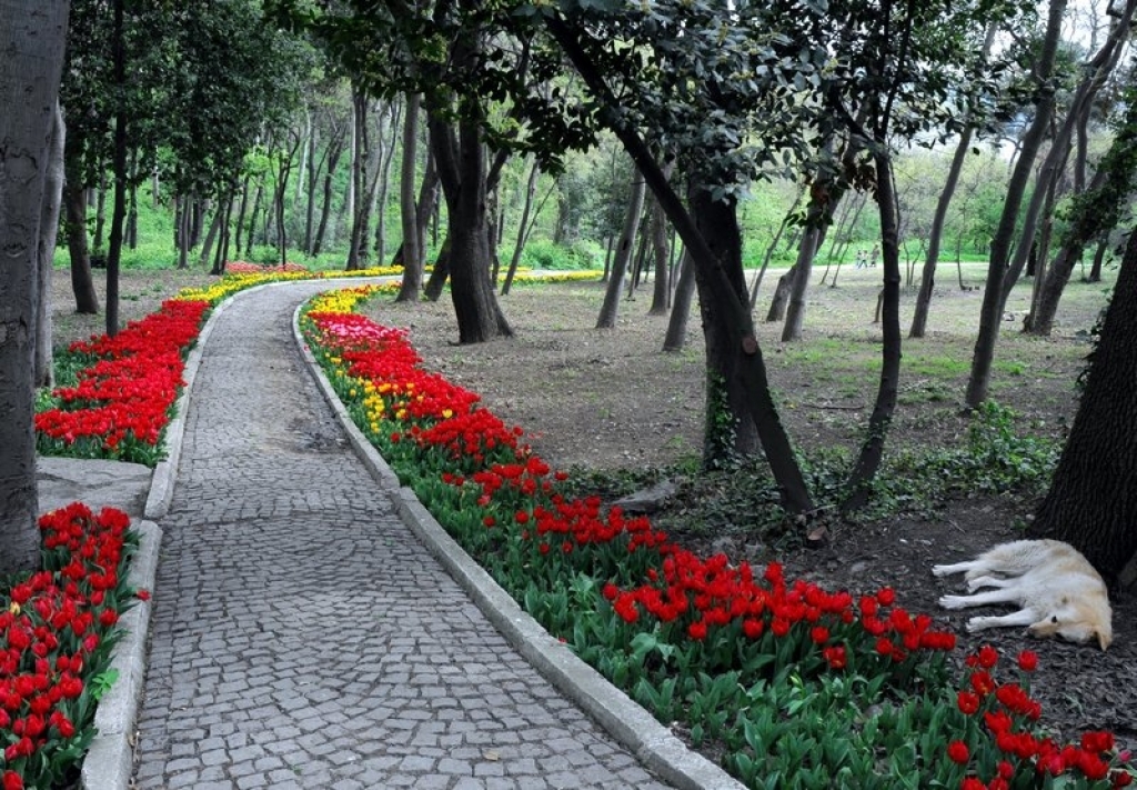 Yıldız Parkı - Beşiktaş